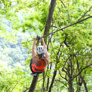 Zip Line Express