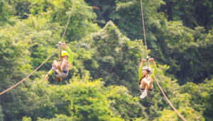 Zip-Line-Canopy-River-Park-opt