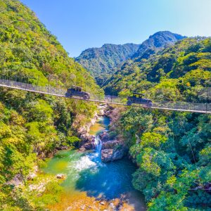 RZR Jorullo Bridge